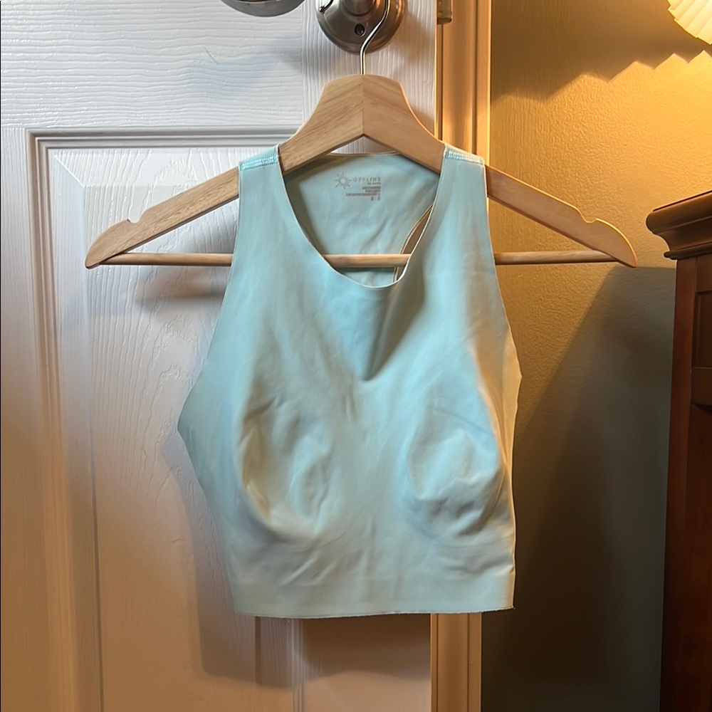 Aerie Blue Cropped Sports Bra